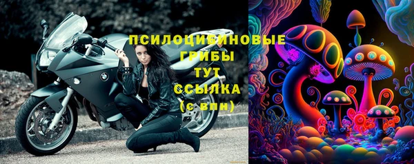 Альфа ПВП Арсеньев