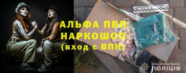 шишки Медвежьегорск