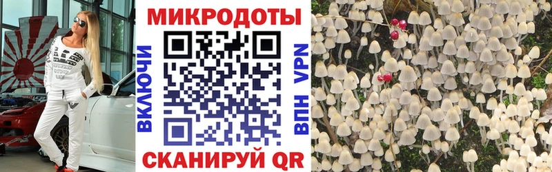 Псилоцибиновые грибы мухоморы  где купить   kraken как зайти  Орлов 
